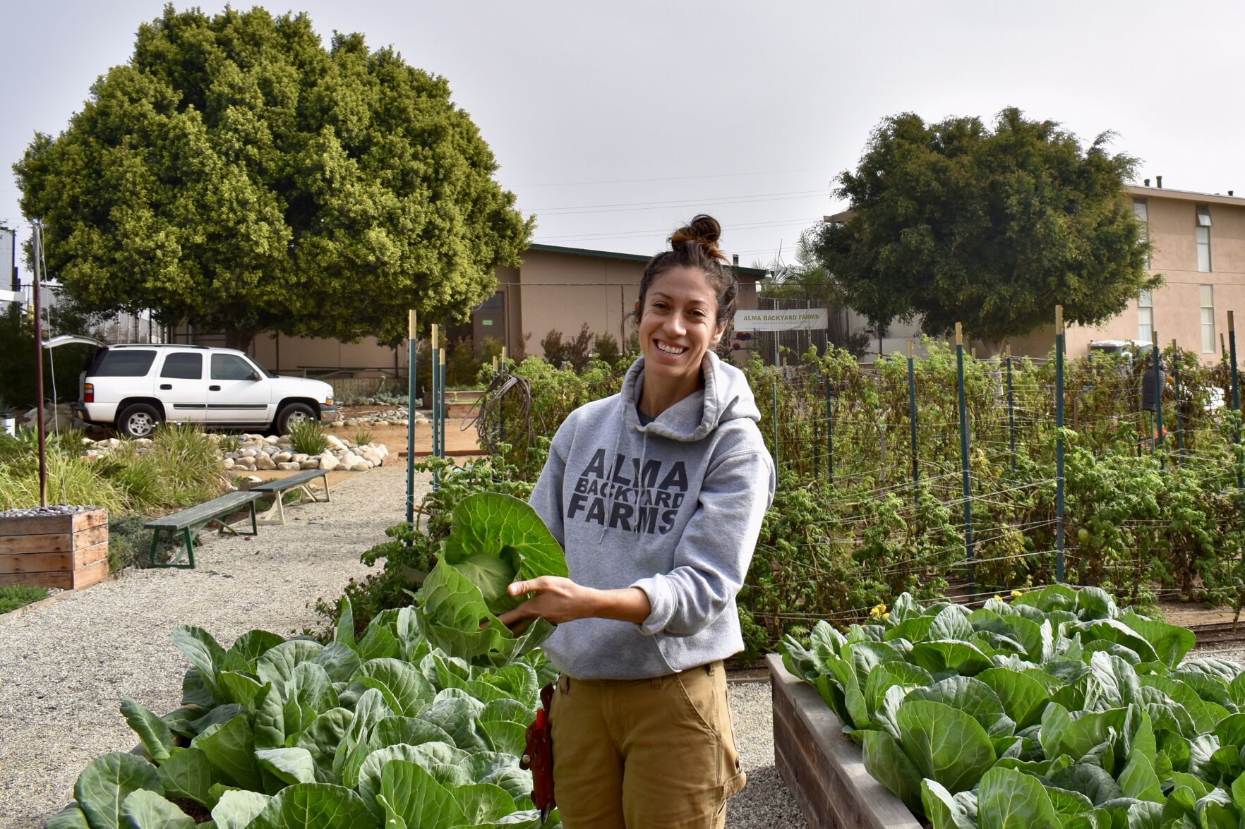 LMU alumni's Alma Backyard Farms promotes restorative justice in South LA